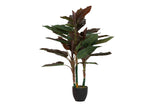 PLANTA CORDYLINE CON MACETA 80x80x110 CM