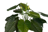 PLANTA TARO CON MACETA 95x95x120 CM