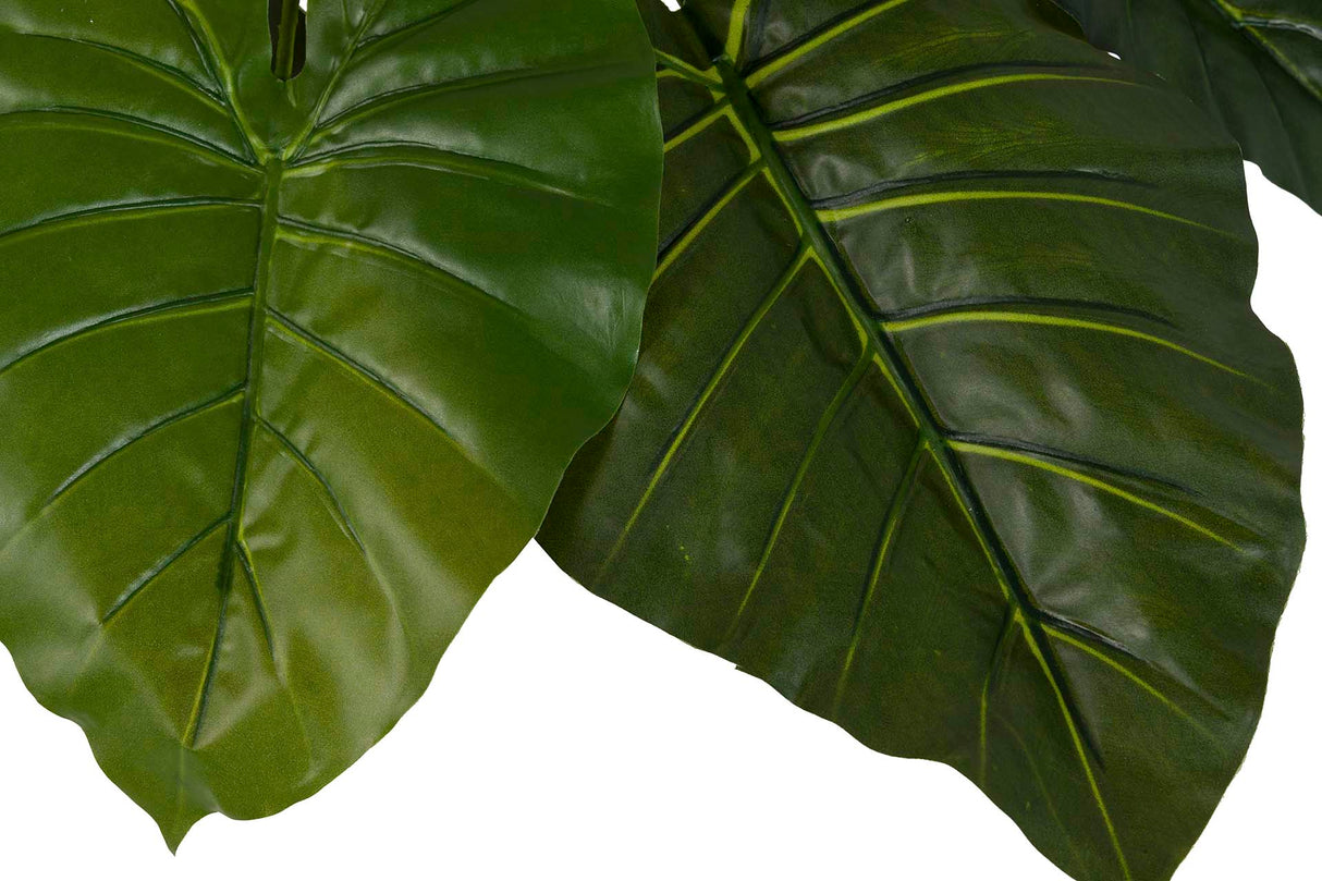 PLANTA TARO CON MACETA 95x95x120 CM