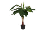 PLANTA TARO CON MACETA 95x95x120 CM