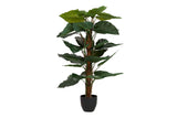 PLANTA TARO CON MACETA 65x65x120 CM