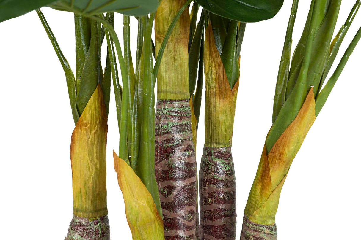 PLANTA TARO CON MACETA 55x55x125 CM