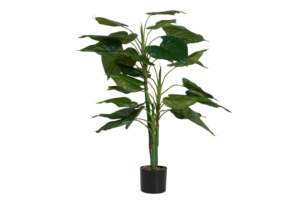 PLANTA TARO CON MACETA 65x65x120 CM