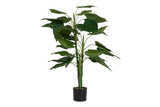 PLANTA TARO CON MACETA 65x65x120 CM