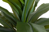 PLANTA DRACAENA FRAGRANS CON MACETA 130x40x21 CM