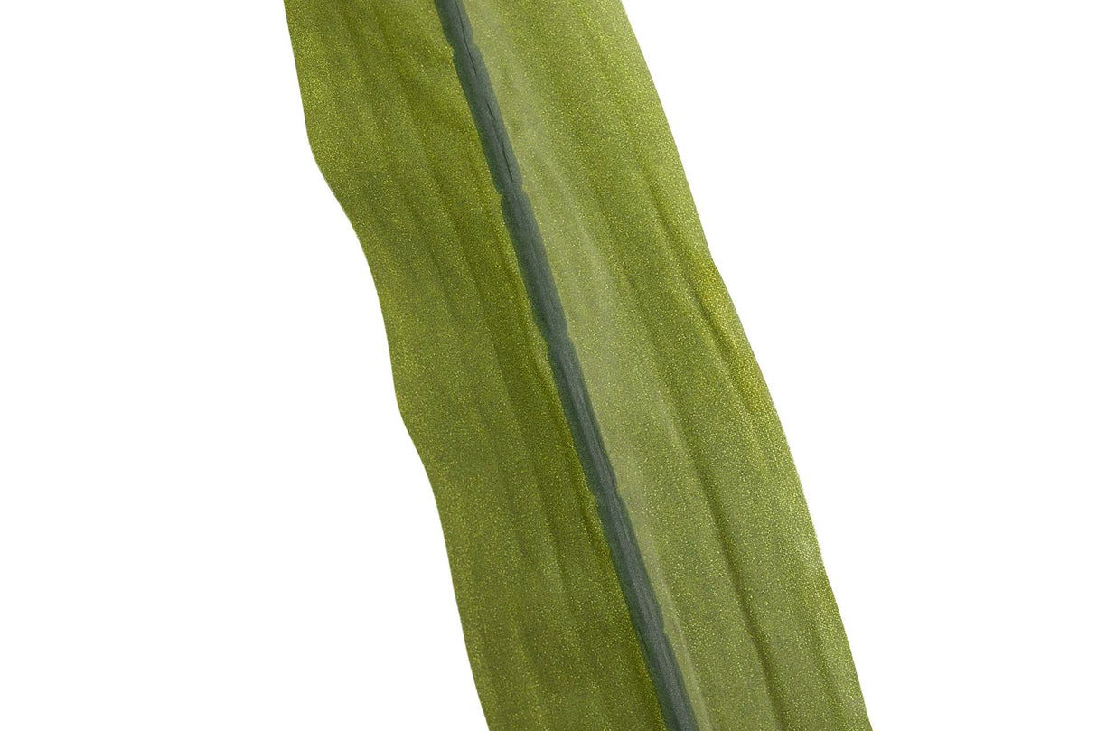 PLANTA DRACAENA FRAGRANS CON MACETA 130x40x21 CM