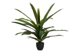 PLANTA DRACAENA FRAGRANS CON MACETA 130x40x21 CM