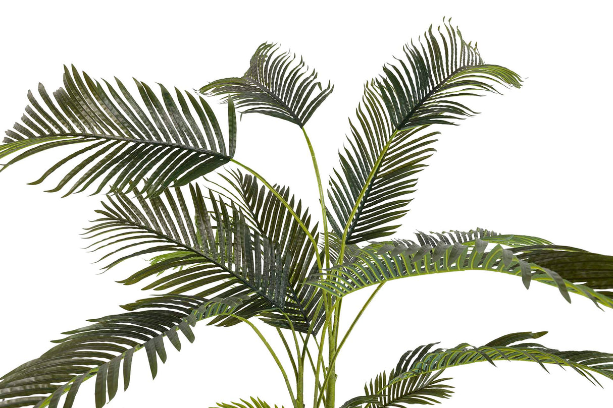 PLANTA PLAMERA ARECA CON MACETA 80x80x185 CM