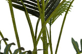 PLANTA PLAMERA ARECA CON MACETA 80x80x185 CM