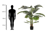 PLANTA PLAMERA ARECA CON MACETA 80x80x185 CM