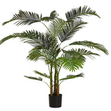 Areca Palm Plant com 80x80x185 cm