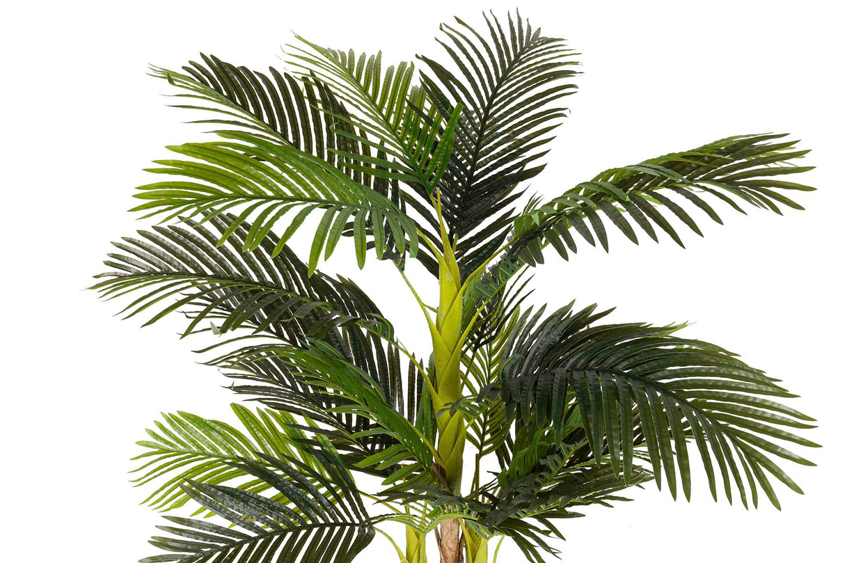 PLANTA PALMERA CON MACETA 75x75x150 CM