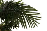 PLANTA PALMERA CON MACETA 75x75x150 CM