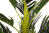 PLANTA PALMERA CON MACETA 75x75x150 CM