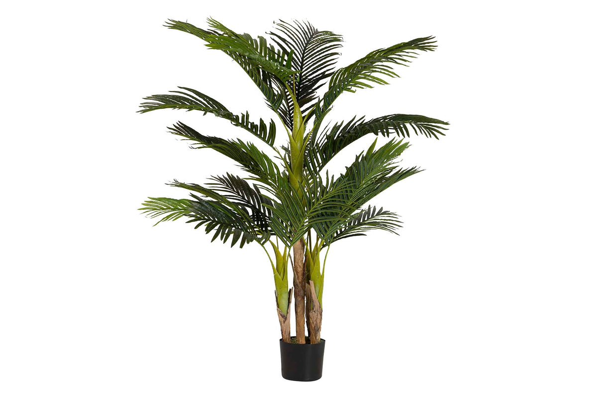 PLANTA PALMERA CON MACETA 75x75x150 CM