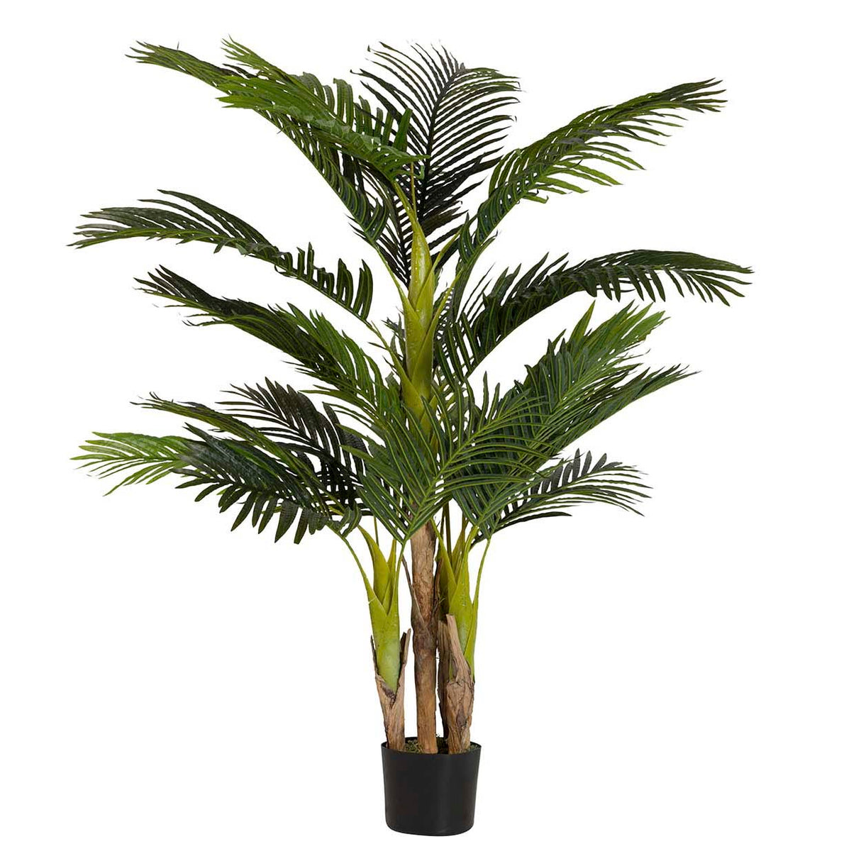 Planta Palmera com panela 75x75x150 cm