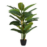 Dieffenbachia Amoena Planta com pote de 65x65x135cm