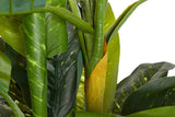 PLANTA DIEFFENBACHIA AMOENA CON MACETA 70x70x160CM