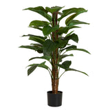 Planta aureum com 65x65x125 cm de panela