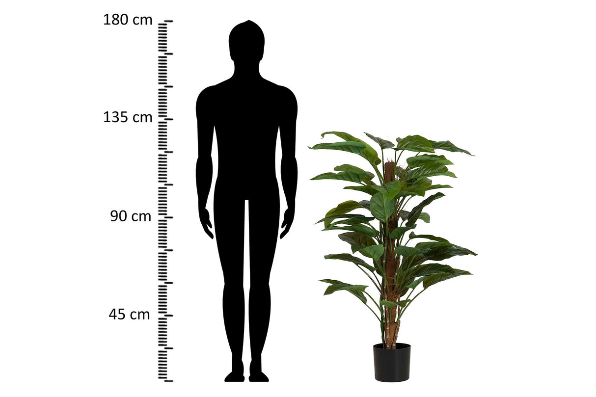 PLANTA AUREUM CON MACETA 60x60x130 CM