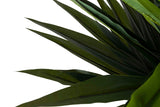 PLANTA YUCCA GLORIOSA CON MACETA 55x55x145 CM