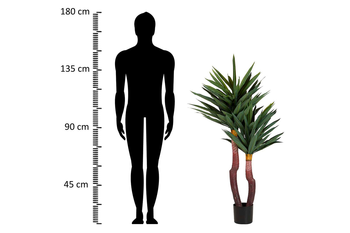 PLANTA YUCCA GLORIOSA CON MACETA 55x55x145 CM