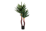 PLANTA YUCCA GLORIOSA CON MACETA 55x55x145 CM