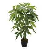 Planta de dinheiro com pote de 45x45x85
