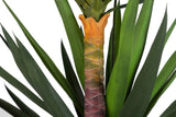 PLANTA YUCCA CON MACETA 70x70x250 CM