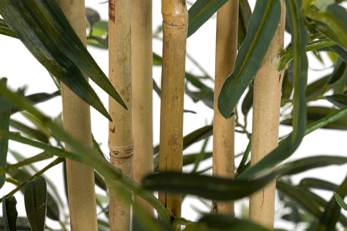 PLANTA BAMBOO CON MACETA 80x80x150 CM