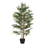 Planta de bambu com 80x80x150 cm