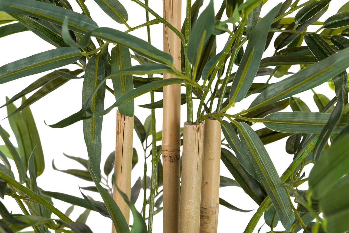 PLANTA BAMBOO CON MACETA 80x80x192 CM