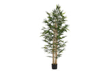 PLANTA BAMBOO CON MACETA 80x80x192 CM