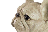 FIGURA PERRO BULLDOG FRANCES RESINA 33x16x30 CM