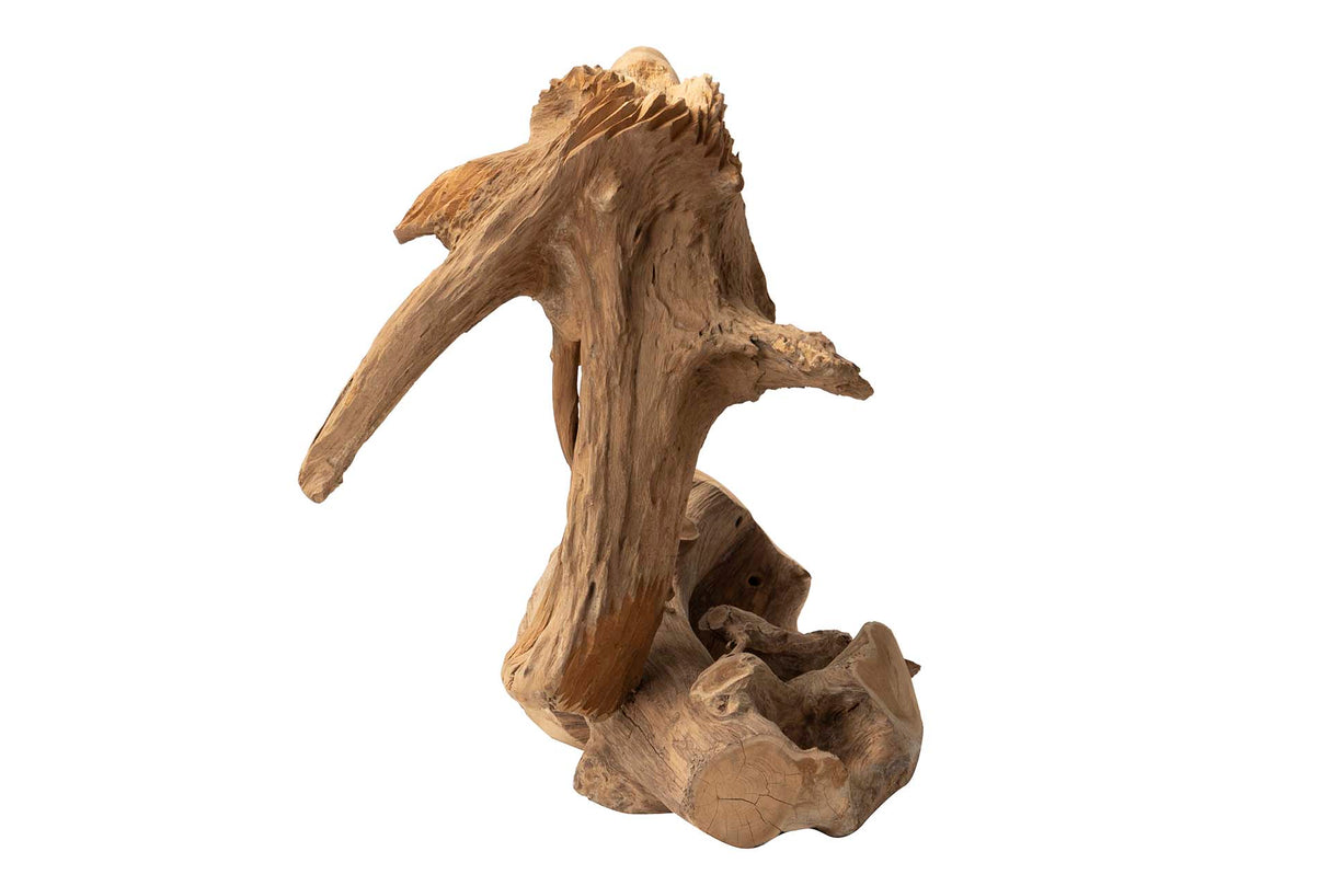 Dekorative Figur Teakholz Holz Aguila 40x25x30 cm