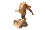 Dekorative Figur Teakholz Holz Aguila 40x25x30 cm