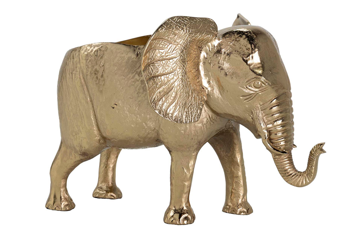 Éléphant d'orgue d'or champanera 57x39x38 cm